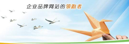 1513237288367362.jpg 10.jpg