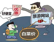 農村旅游網(wǎng)站建設及用戶(hù)體驗度的提高？